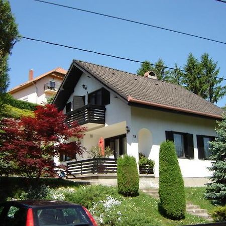 Agnes Nyaralohaz Villa Zalakaros Buitenkant foto