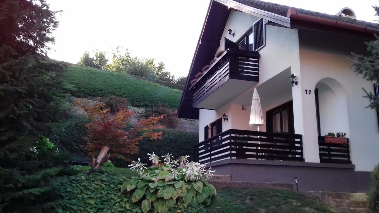Agnes Nyaralohaz Villa Zalakaros Buitenkant foto
